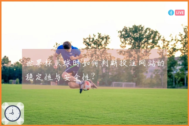 世界杯买球时如何判断投注网站的稳定性与安全性？