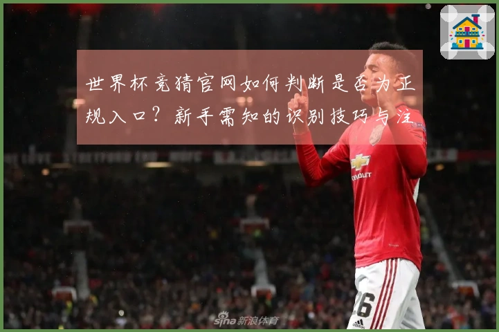 世界杯竞猜官网如何判断是否为正规入口？新手需知的识别技巧与注意事项