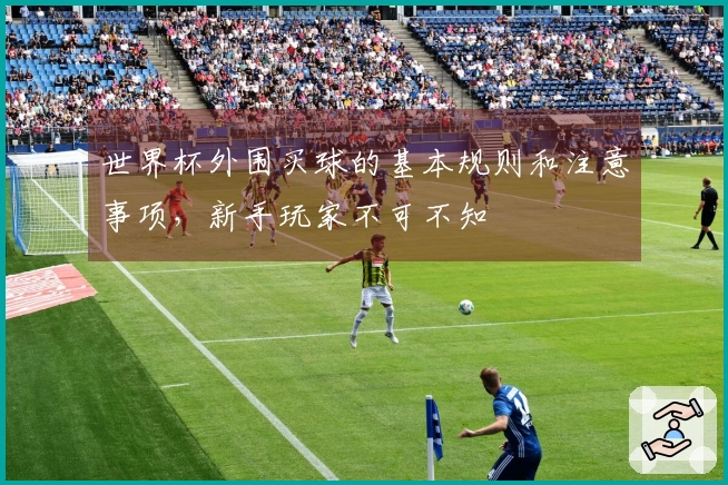 世界杯外围买球的基本规则和注意事项，新手玩家不可不知