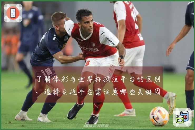 了解体彩与世界杯投注平台的区别，选择合适平台需注意哪些关键因素？