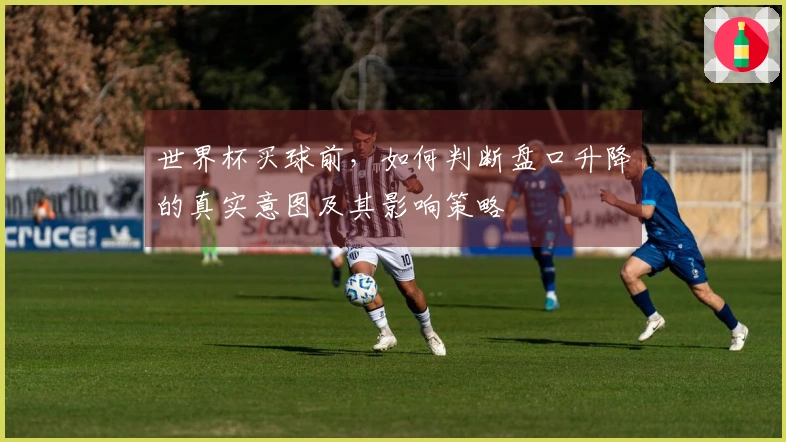 世界杯买球前，如何判断盘口升降的真实意图及其影响策略