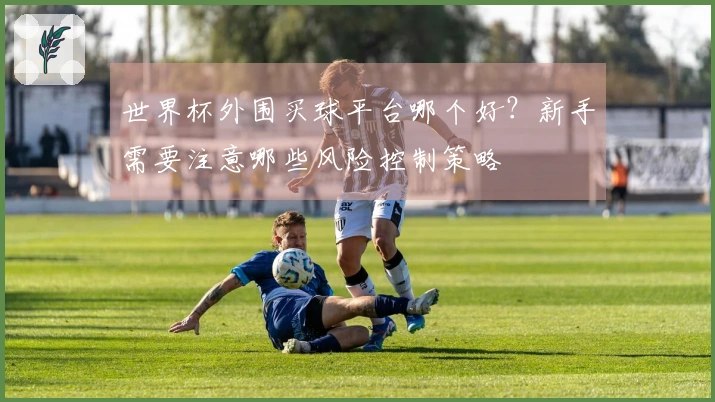 世界杯外围买球平台哪个好？新手需要注意哪些风险控制策略