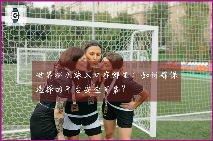 世界杯买球入口在哪里？如何确保选择的平台安全可靠？