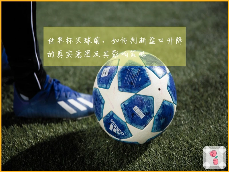 世界杯买球前，如何判断盘口升降的真实意图及其影响策略