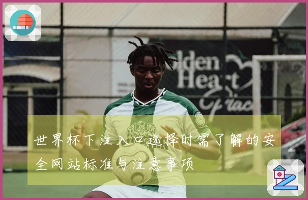 世界杯下注入口选择时需了解的安全网站标准与注意事项