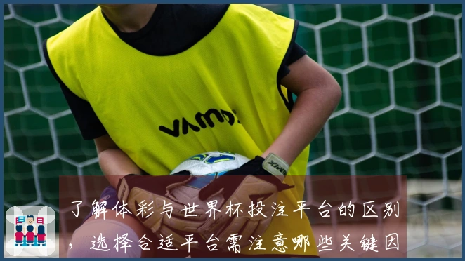 了解体彩与世界杯投注平台的区别，选择合适平台需注意哪些关键因素？
