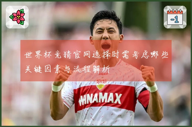 世界杯竞猜官网选择时需考虑哪些关键因素与流程解析