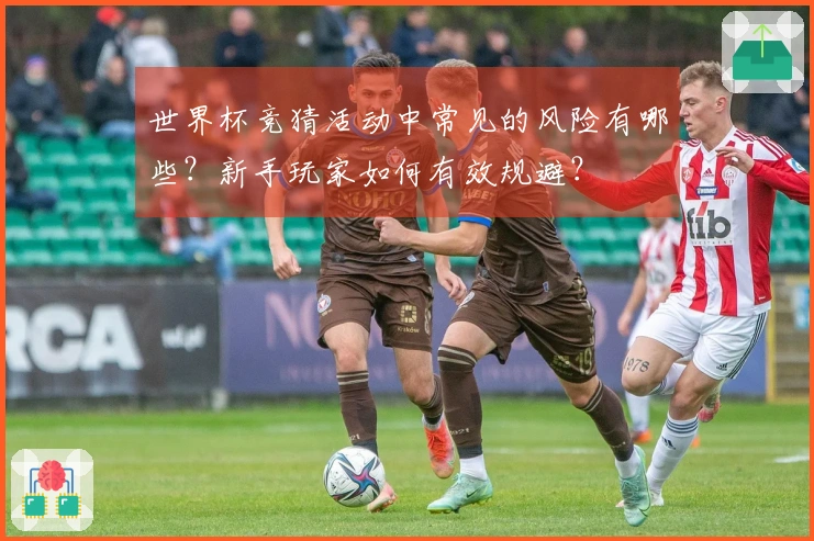 世界杯竞猜活动中常见的风险有哪些？新手玩家如何有效规避？