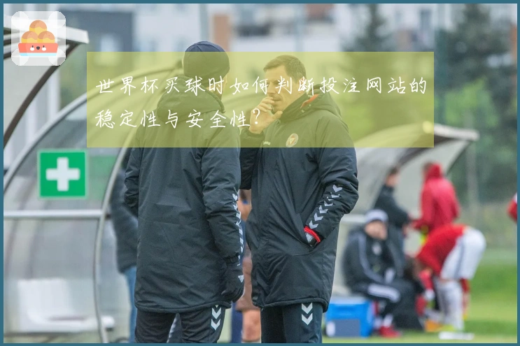 世界杯买球时如何判断投注网站的稳定性与安全性？