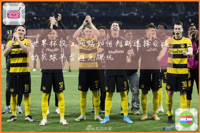 世界杯投注网站如何判断选择合适的买球平台避免踩坑