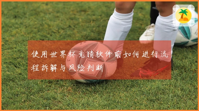 使用世界杯竞猜软件前如何进行流程拆解与风险判断