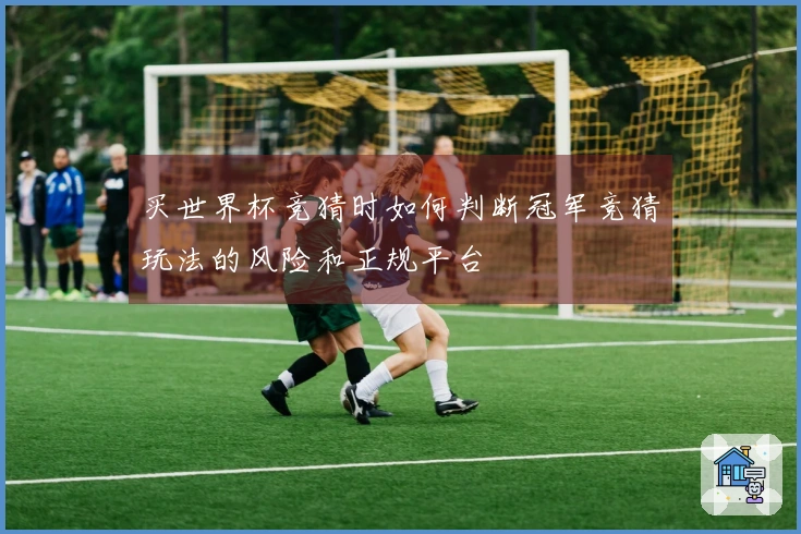 买世界杯竞猜时如何判断冠军竞猜玩法的风险和正规平台