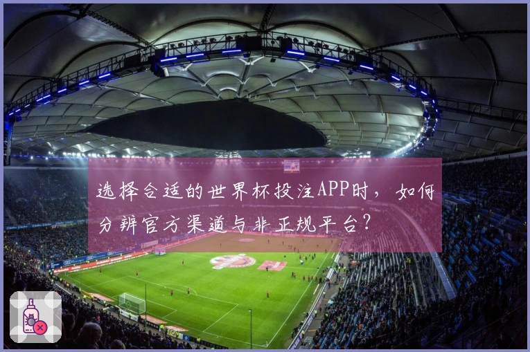 选择合适的世界杯投注APP时，如何分辨官方渠道与非正规平台？