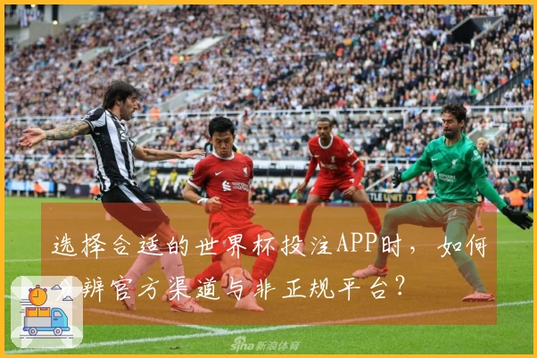 选择合适的世界杯投注APP时，如何分辨官方渠道与非正规平台？
