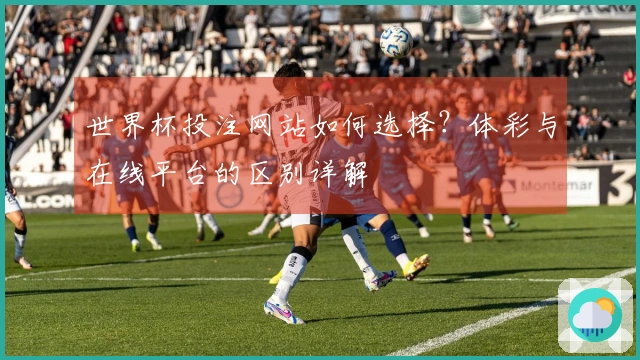 世界杯投注网站如何选择？体彩与在线平台的区别详解