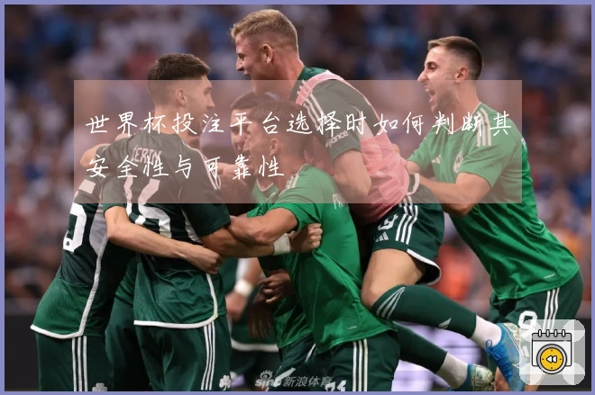 世界杯投注平台选择时如何判断其安全性与可靠性