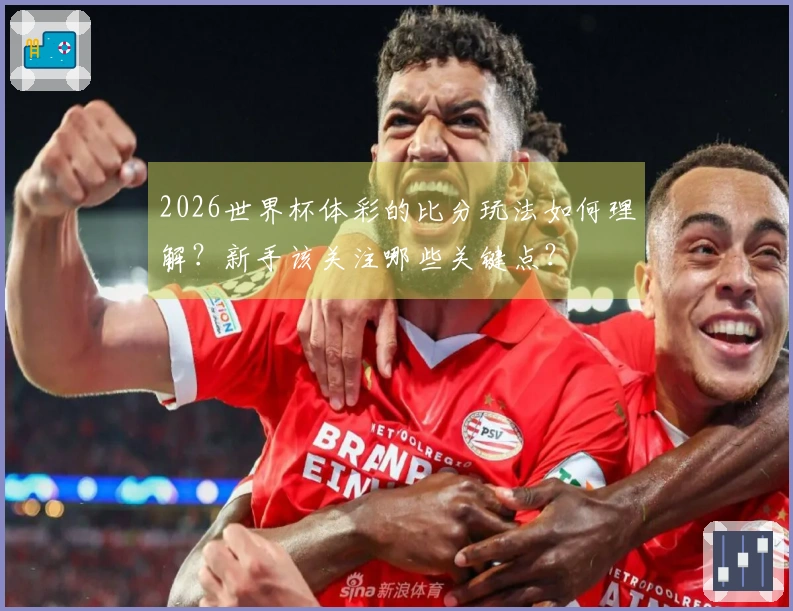 2026世界杯体彩的比分玩法如何理解？新手该关注哪些关键点？