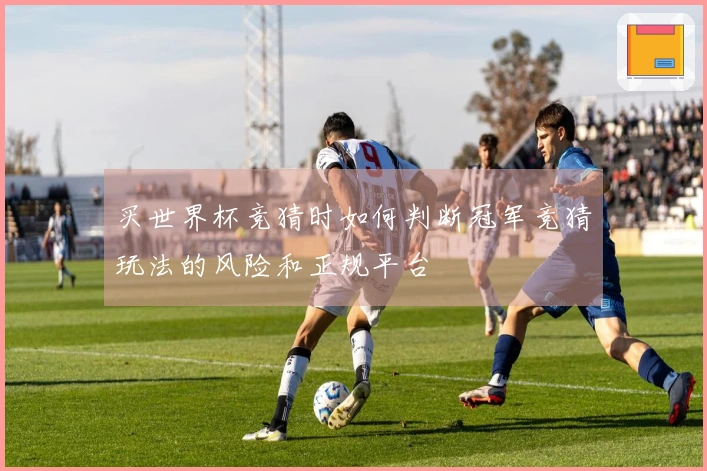 买世界杯竞猜时如何判断冠军竞猜玩法的风险和正规平台