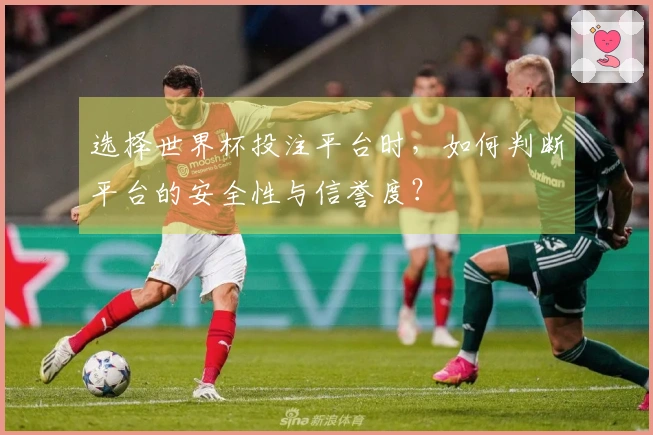 选择世界杯投注平台时，如何判断平台的安全性与信誉度？