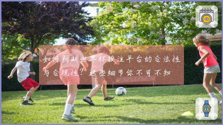 如何判断世界杯投注平台的合法性与合规性？这些细节你不可不知