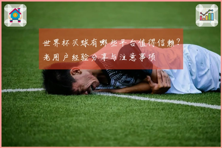 世界杯买球有哪些平台值得信赖？老用户经验分享与注意事项