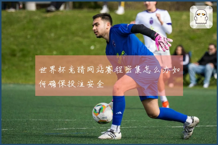 世界杯竞猜网站赛程密集怎么办如何确保投注安全