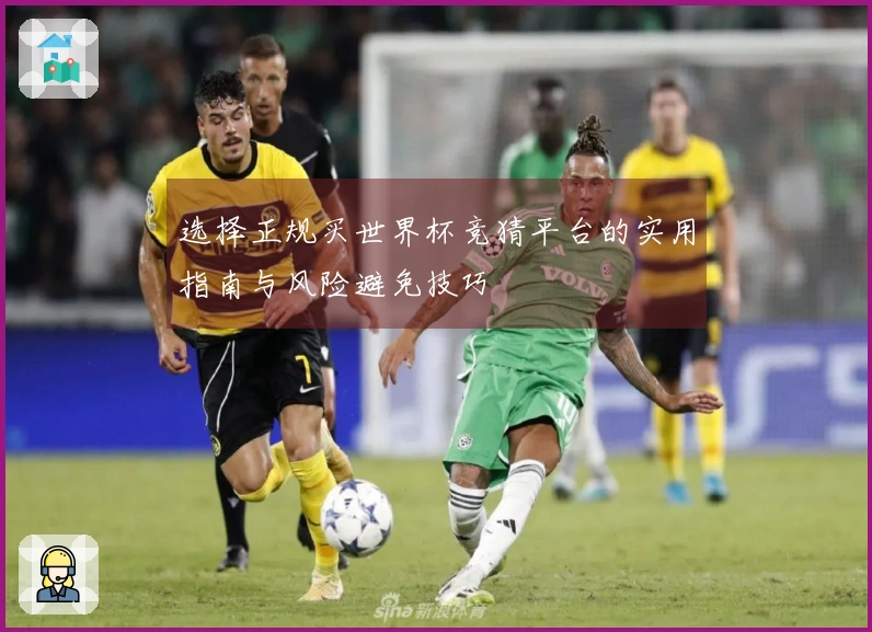 选择正规买世界杯竞猜平台的实用指南与风险避免技巧