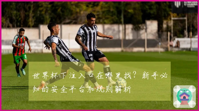 世界杯下注入口在哪里找？新手必知的安全平台和规则解析