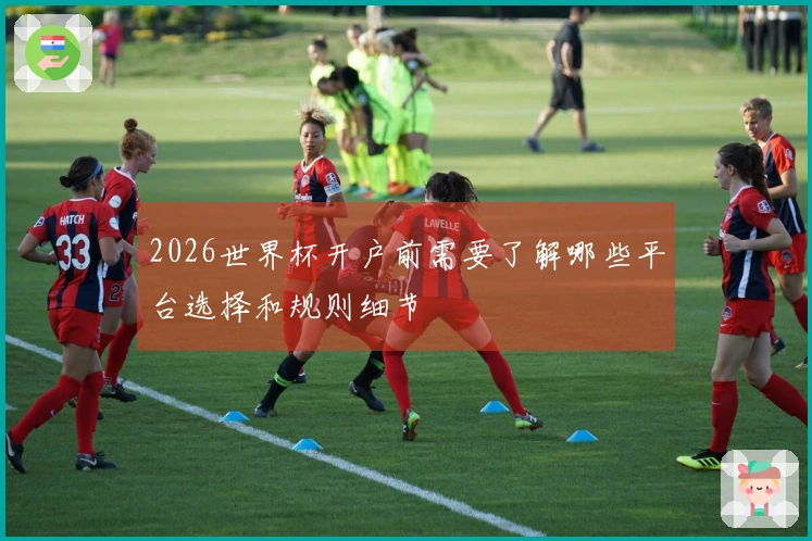 2026世界杯开户前需要了解哪些平台选择和规则细节
