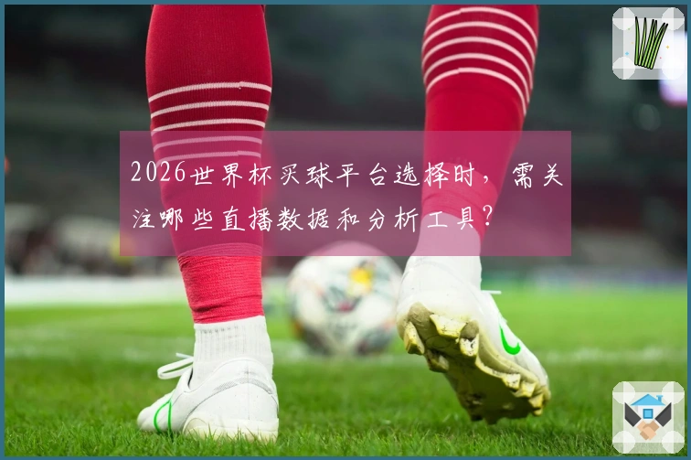 2026世界杯买球平台选择时，需关注哪些直播数据和分析工具？