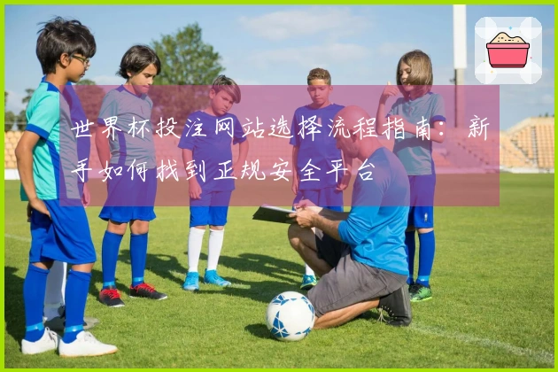 世界杯投注网站选择流程指南：新手如何找到正规安全平台