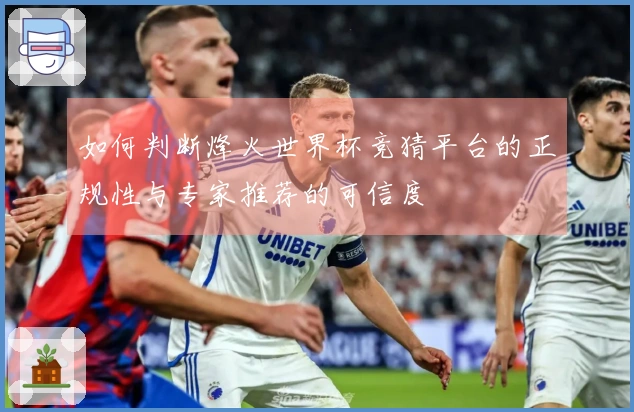 如何判断烽火世界杯竞猜平台的正规性与专家推荐的可信度