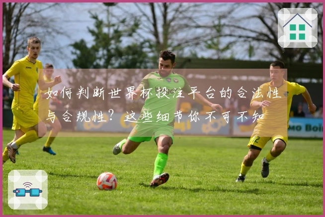 如何判断世界杯投注平台的合法性与合规性？这些细节你不可不知