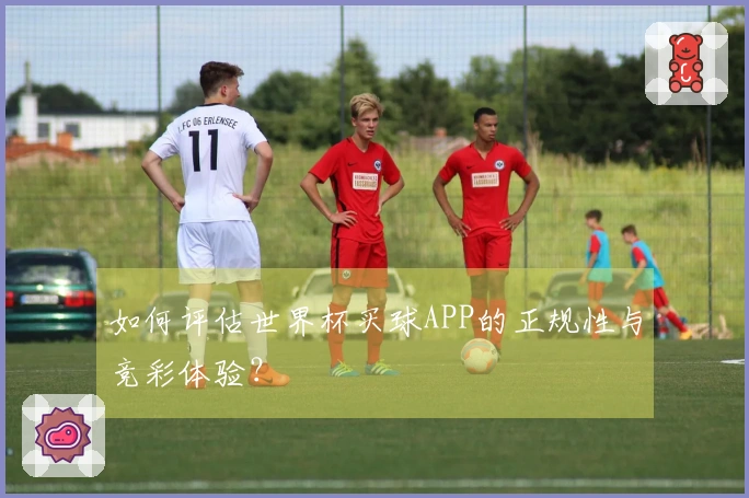 如何评估世界杯买球APP的正规性与竞彩体验？