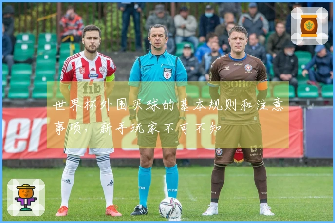 世界杯外围买球的基本规则和注意事项，新手玩家不可不知
