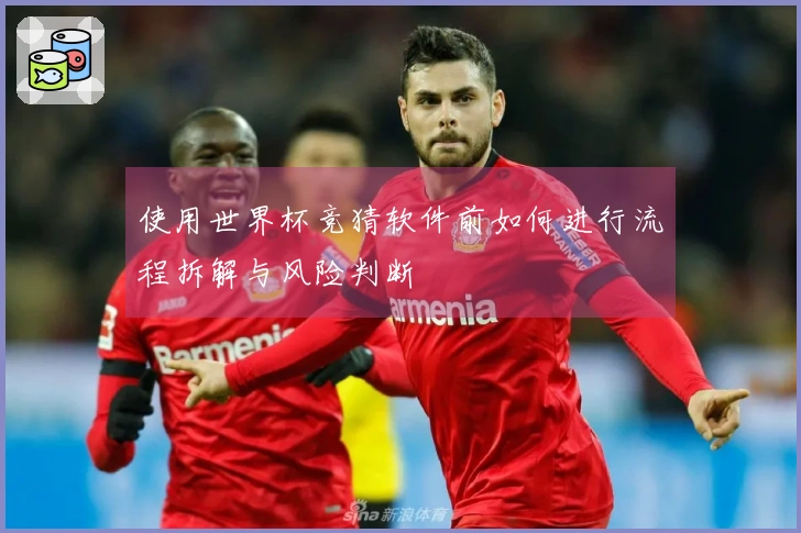 使用世界杯竞猜软件前如何进行流程拆解与风险判断